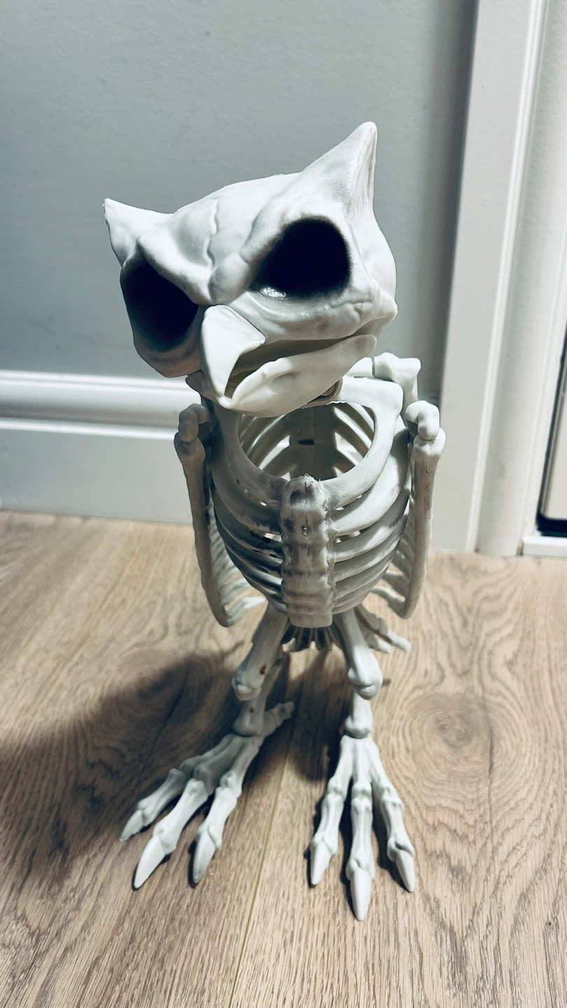 Halloween Skeleton Owl Decoration / Prop