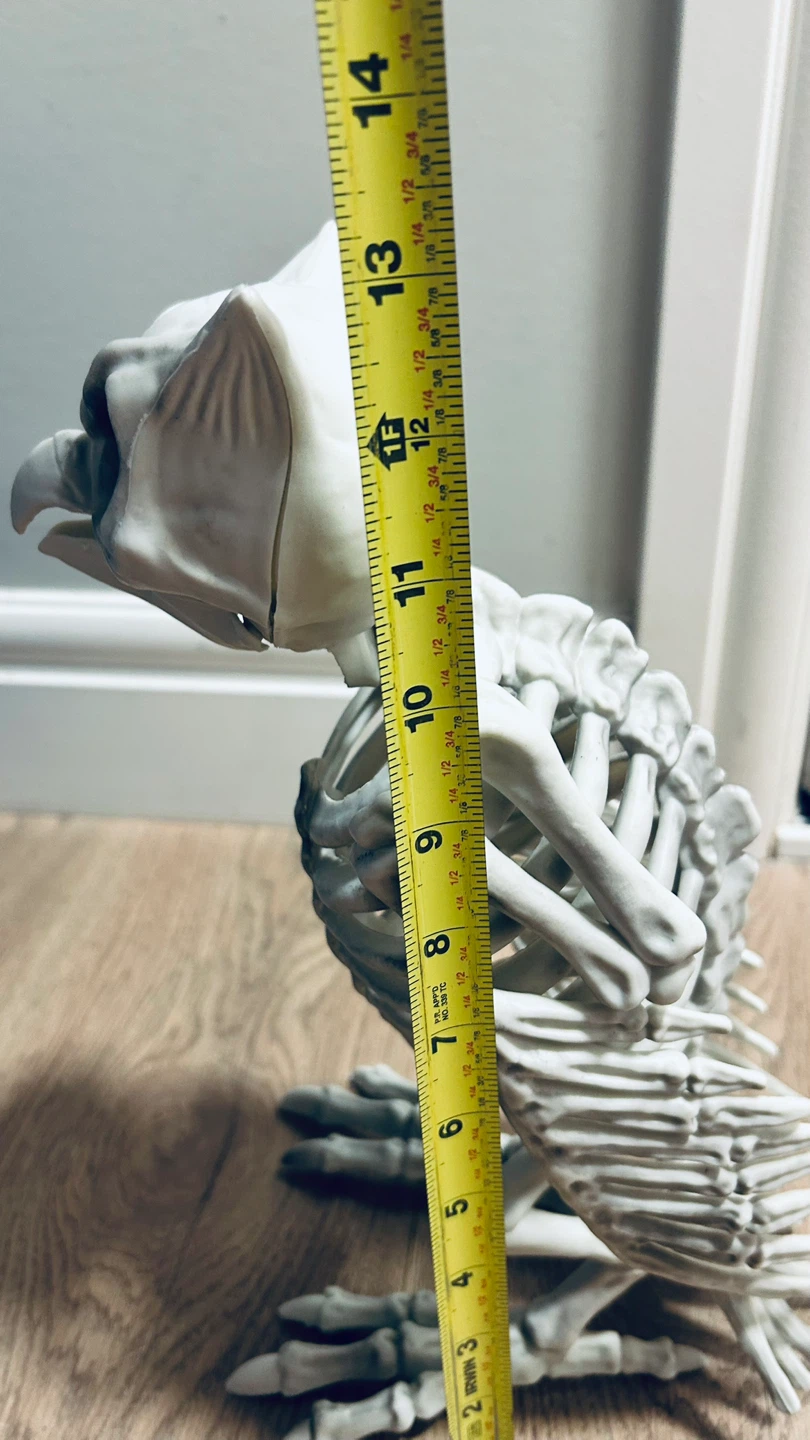 Halloween Skeleton Owl Decoration / Prop - photo 3
