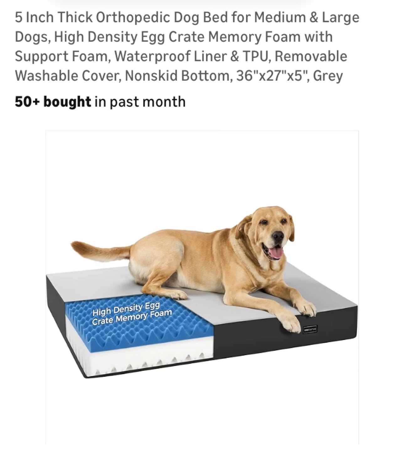 5" Thick Orthopedic Memory Foam Dog Bed - Large, Grey