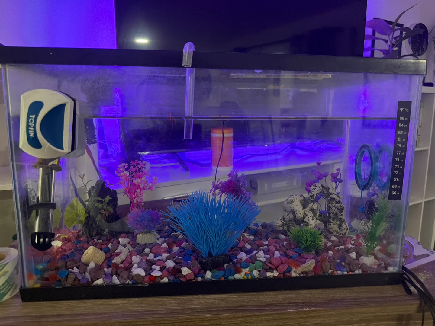 Top Fin Aquarium