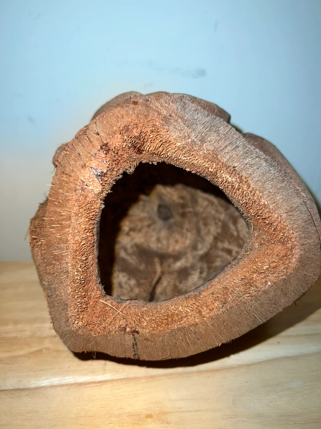 Coconut Monkey Family Figurine - photo 3