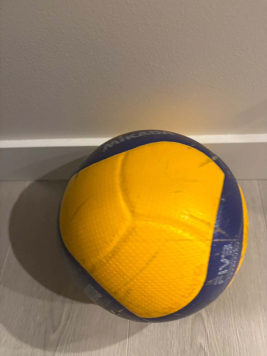 Mikasa Volleyball V200W
