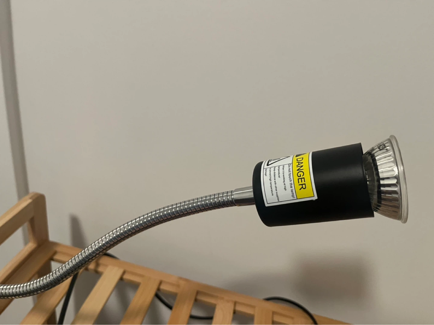 FREE Reptile Basking Lamp