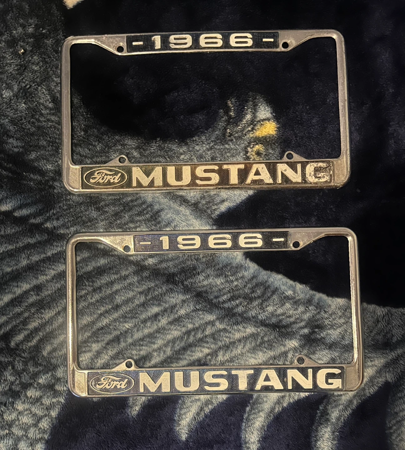 1966 Ford Mustang License Plate Frame