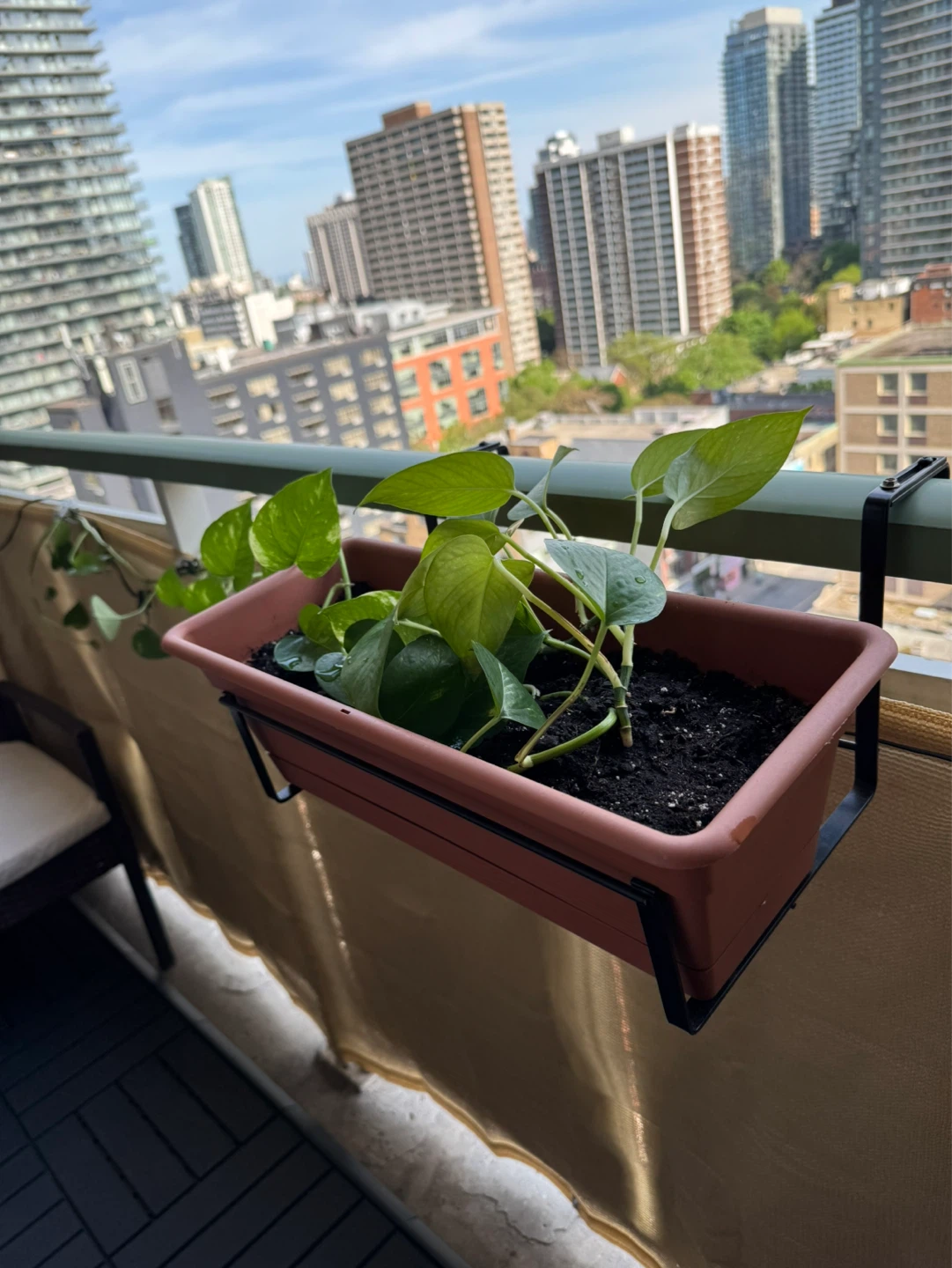 Balcony Planter Box with Bracket