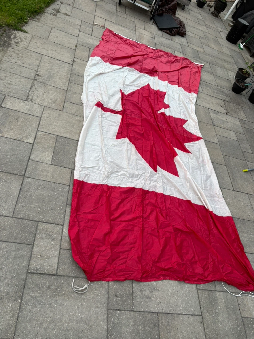 Canadian Flag