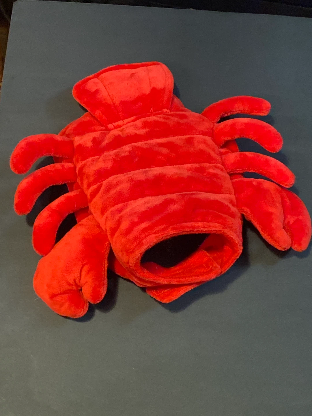 Small Animals: Thrills & Chills Lobster Costume for Pets