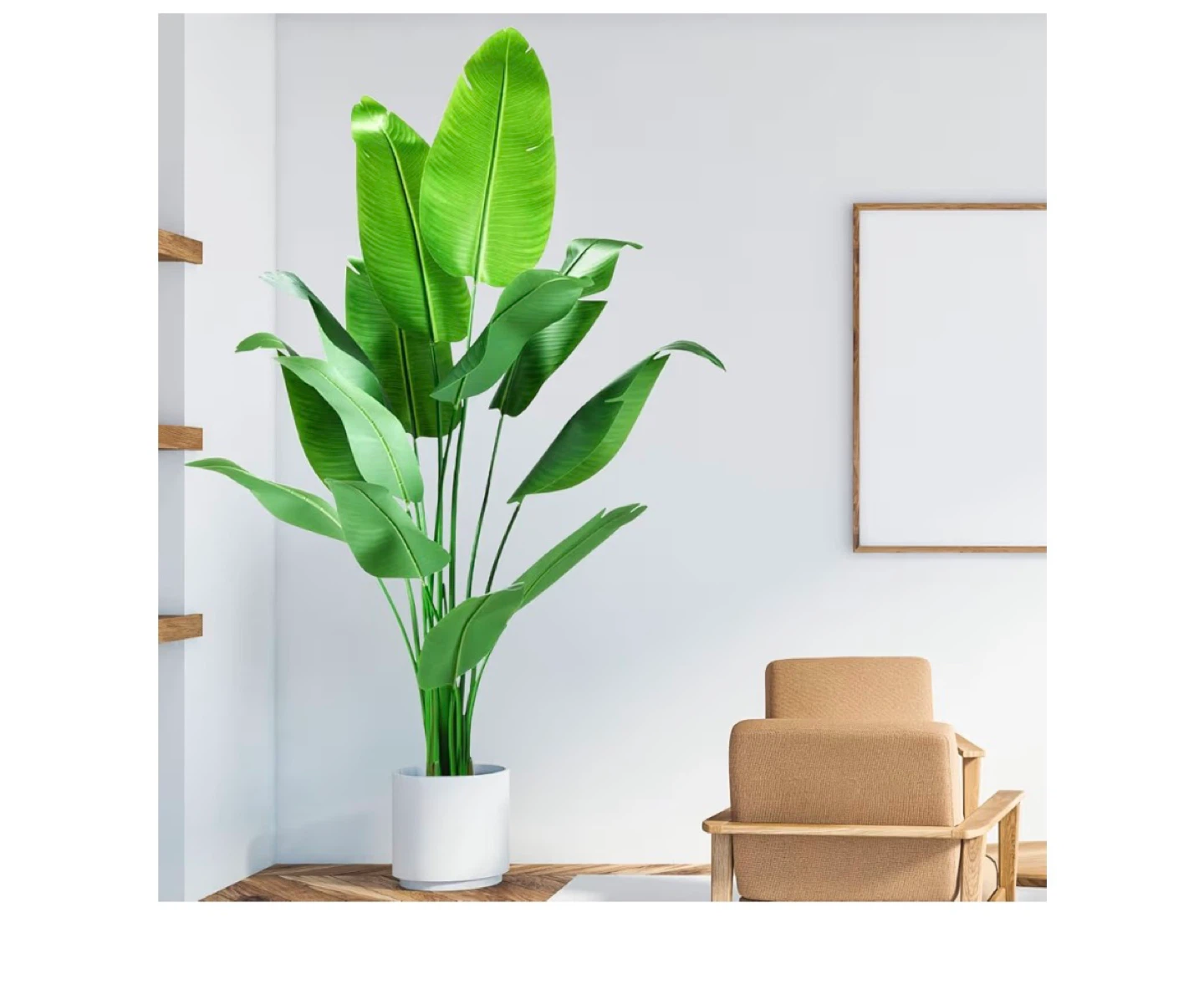 7FT Artificial Bird of Paradise Plant in White Planter - photo 2