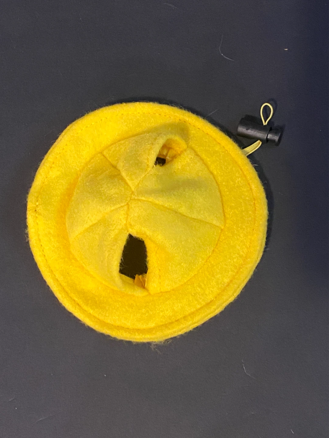 Small Animal: Yellow Felt Bucket Hat for Pets