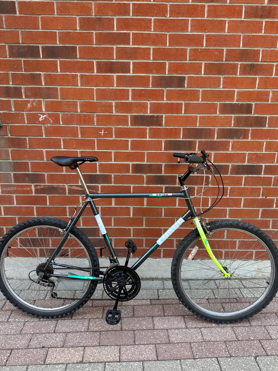 MEN SIZE LARGE VINTAGE RALEIGH UPRIGHT MOUNTAIN CITY BIKE