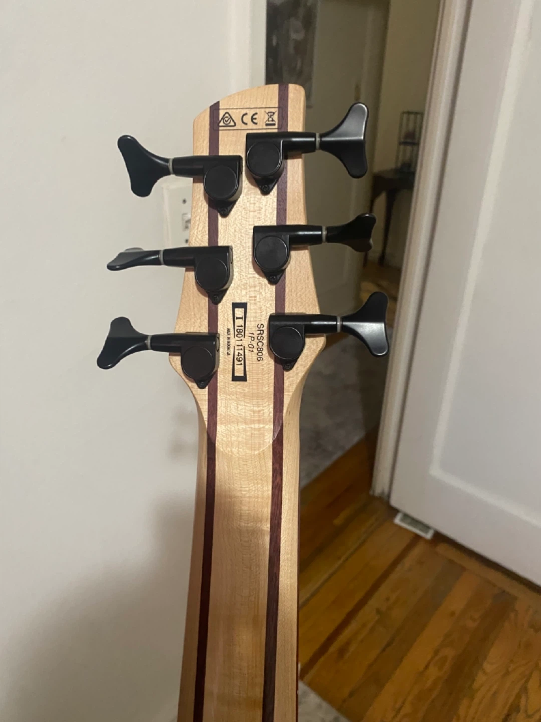 Ibanez SRG806 -6 String Bass Guitar - photo 3