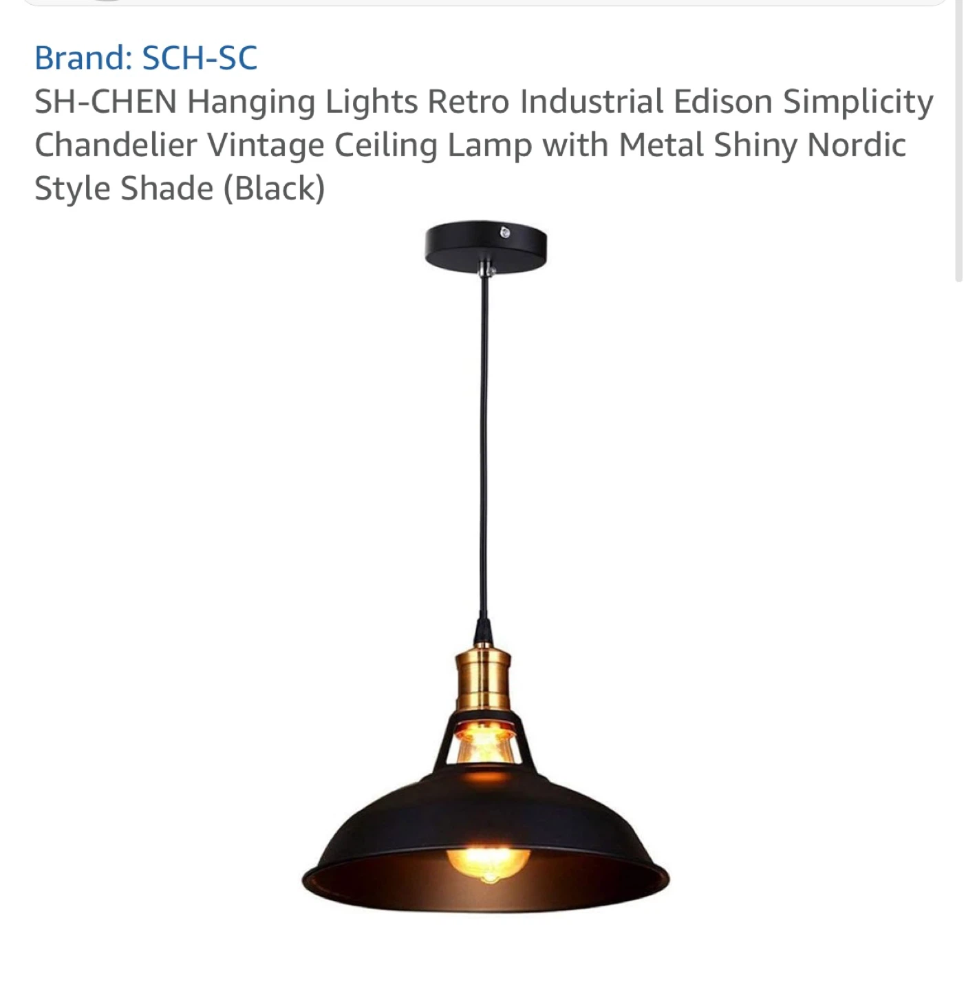 2 Hanging Pendant Light Fixture - Black