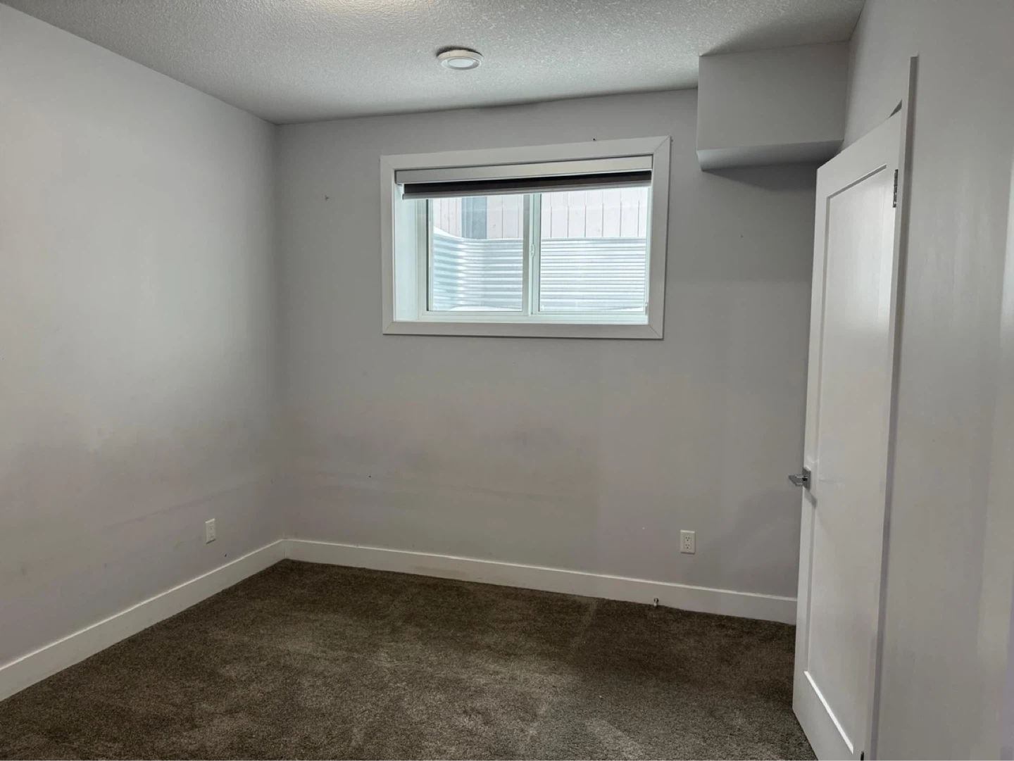 Legal suite basement for rent - photo 2