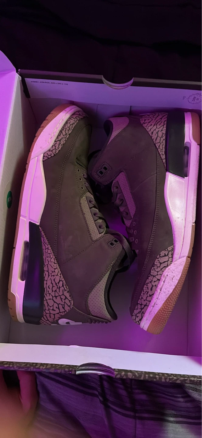 Air Jordan 3 Retro SE Shoes