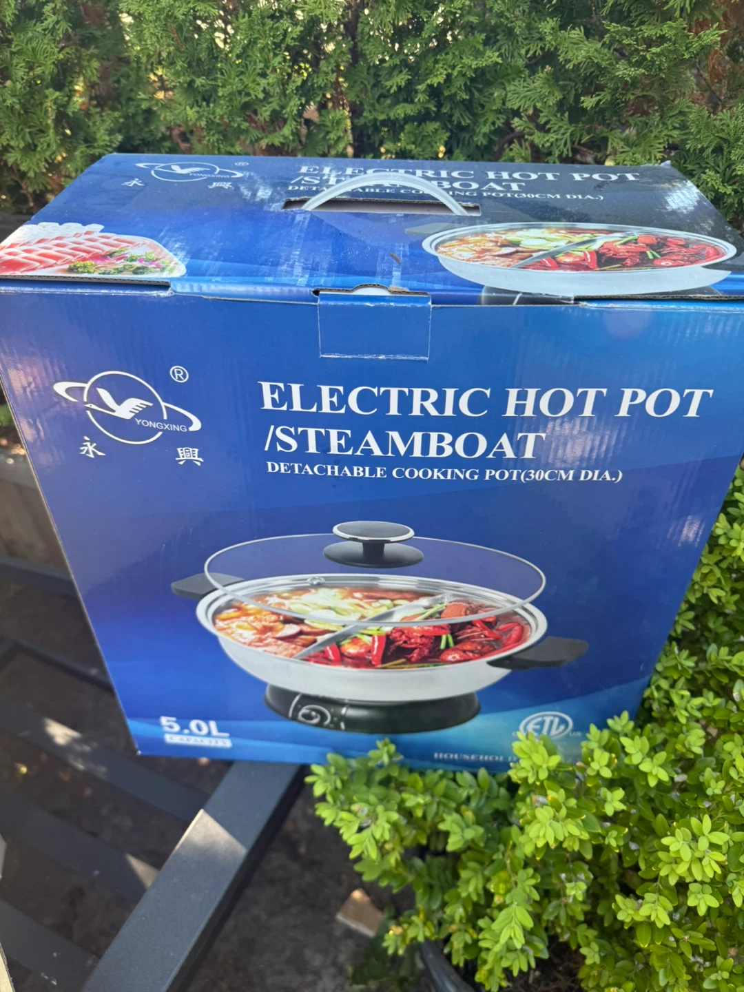 Yongxing Electric Hot Pot / Steamboat - 5.0L