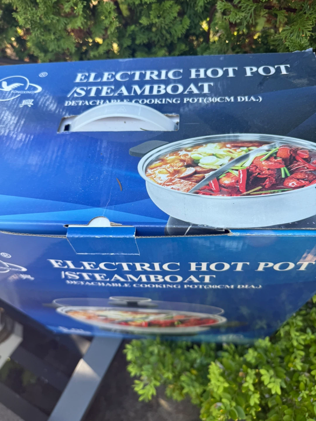 Yongxing Electric Hot Pot / Steamboat - 5.0L - photo 3