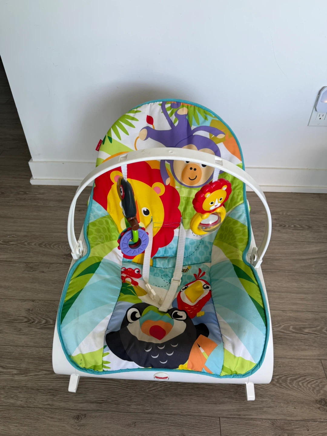 Fisher-Price Baby-to-Toddler Rocker - photo 2
