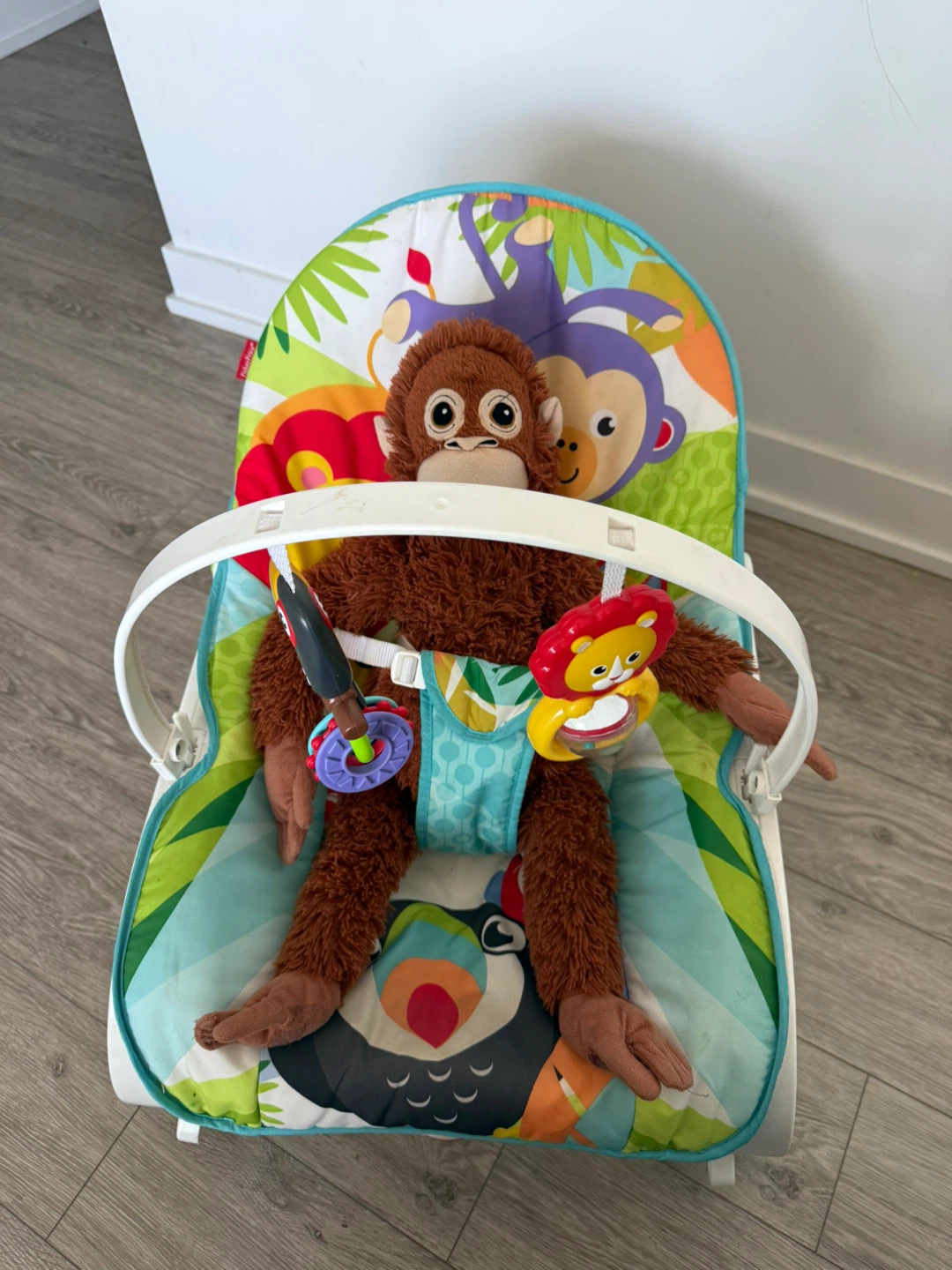 Fisher-Price Baby-to-Toddler Rocker - photo 5