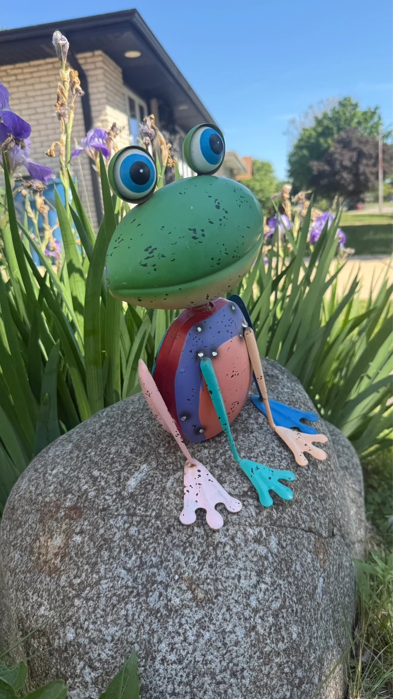 Colorful Metal Frog Garden Decor - photo 4