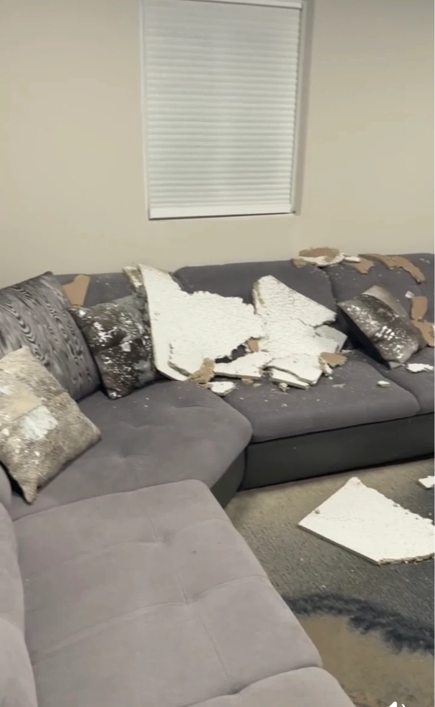 Light Gray Sectional Repairable $250 OBO