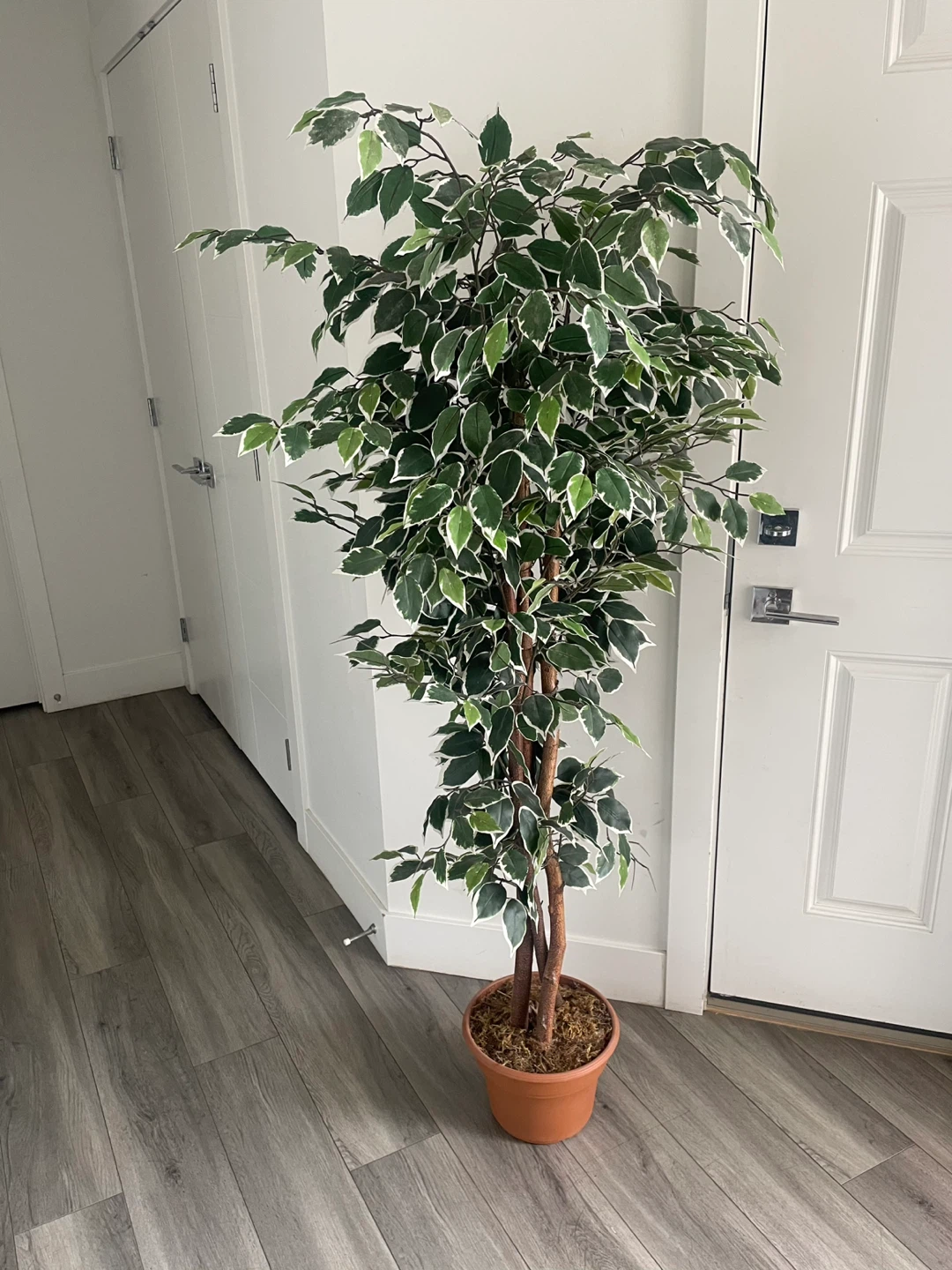 Artificial Tree
