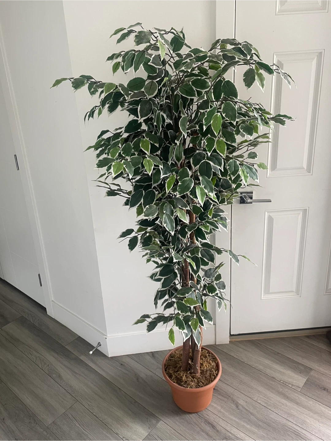 Artificial Tree - photo 3