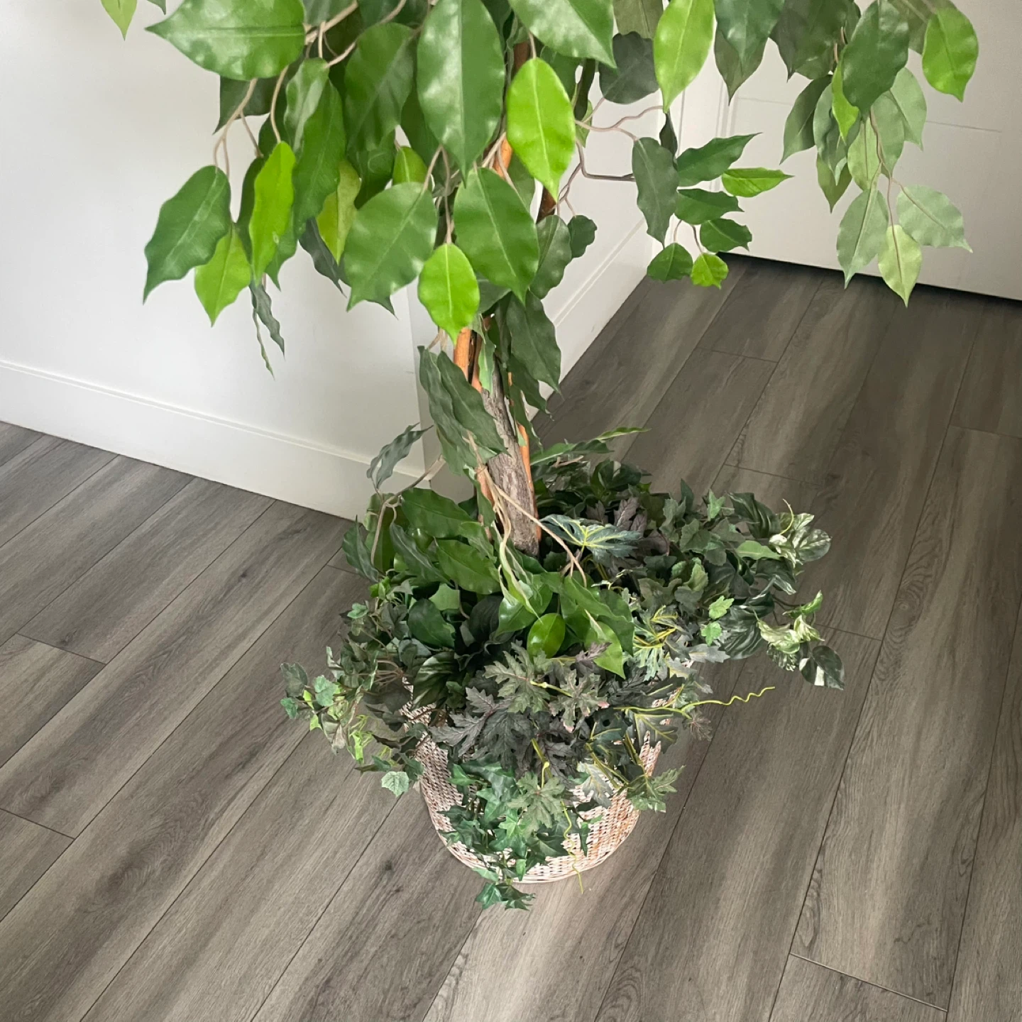 Large Artificial Ficus Tree - photo 3