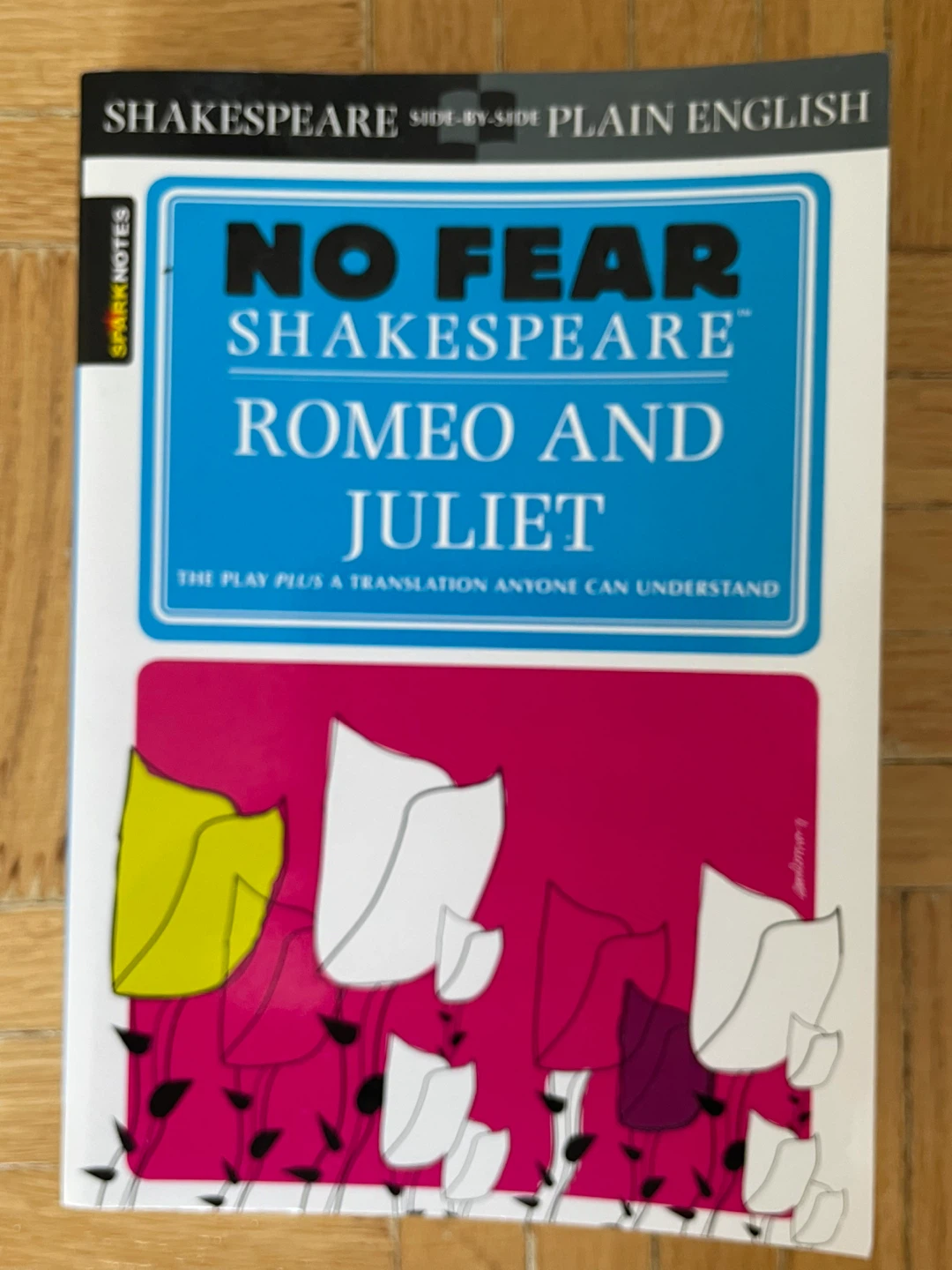 No Fear Shakespeare Romeo And Juliet Book - photo 2