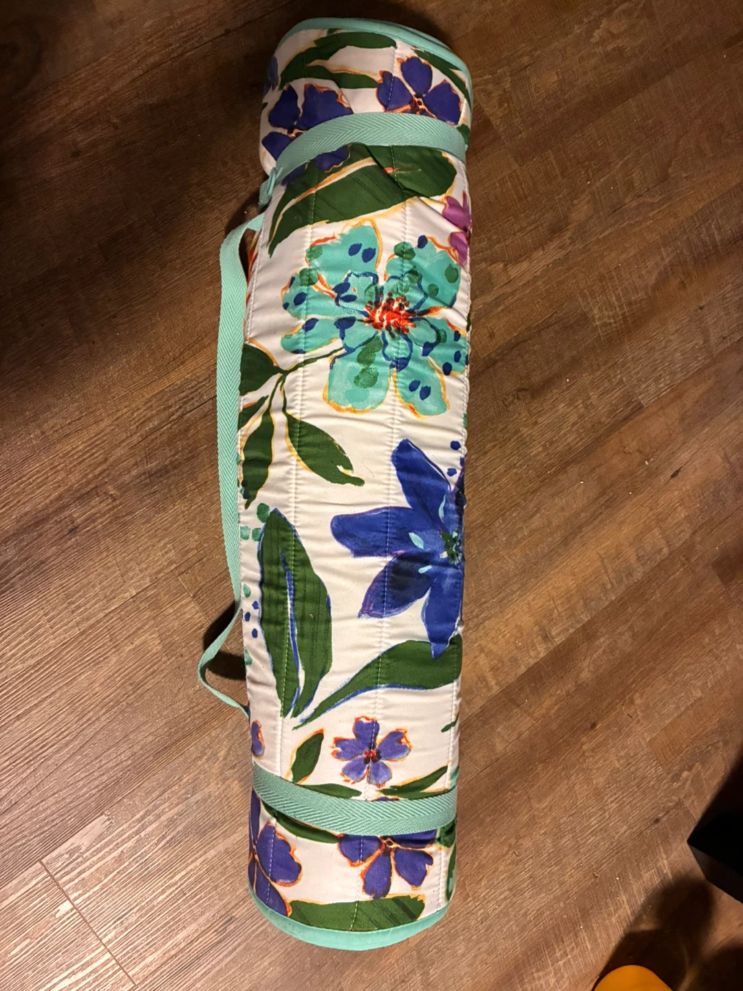 Indigo Brand Like New Beach Mat & Pillow - photo 2
