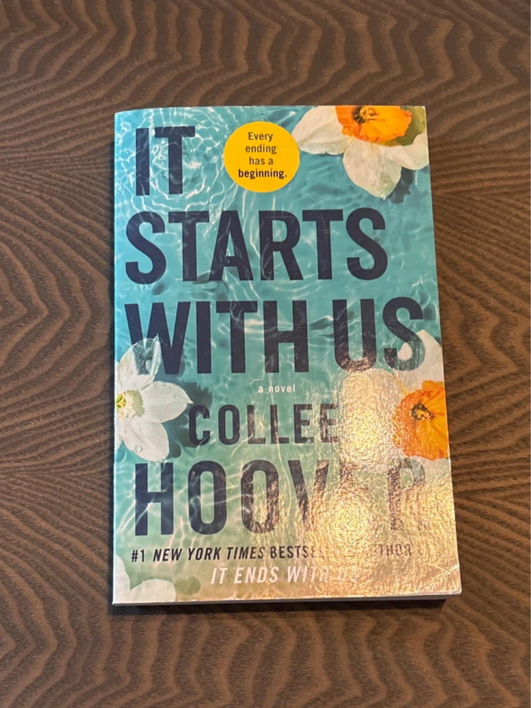 Colleen Hoover Books - It Ends With Us & It Starts With Us - photo 3
