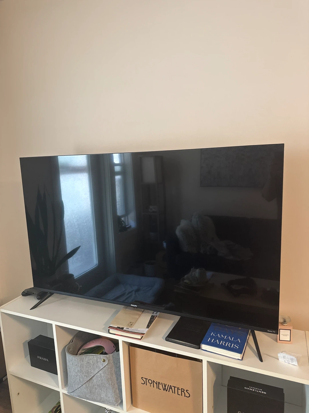 Philips Roku Smart TV