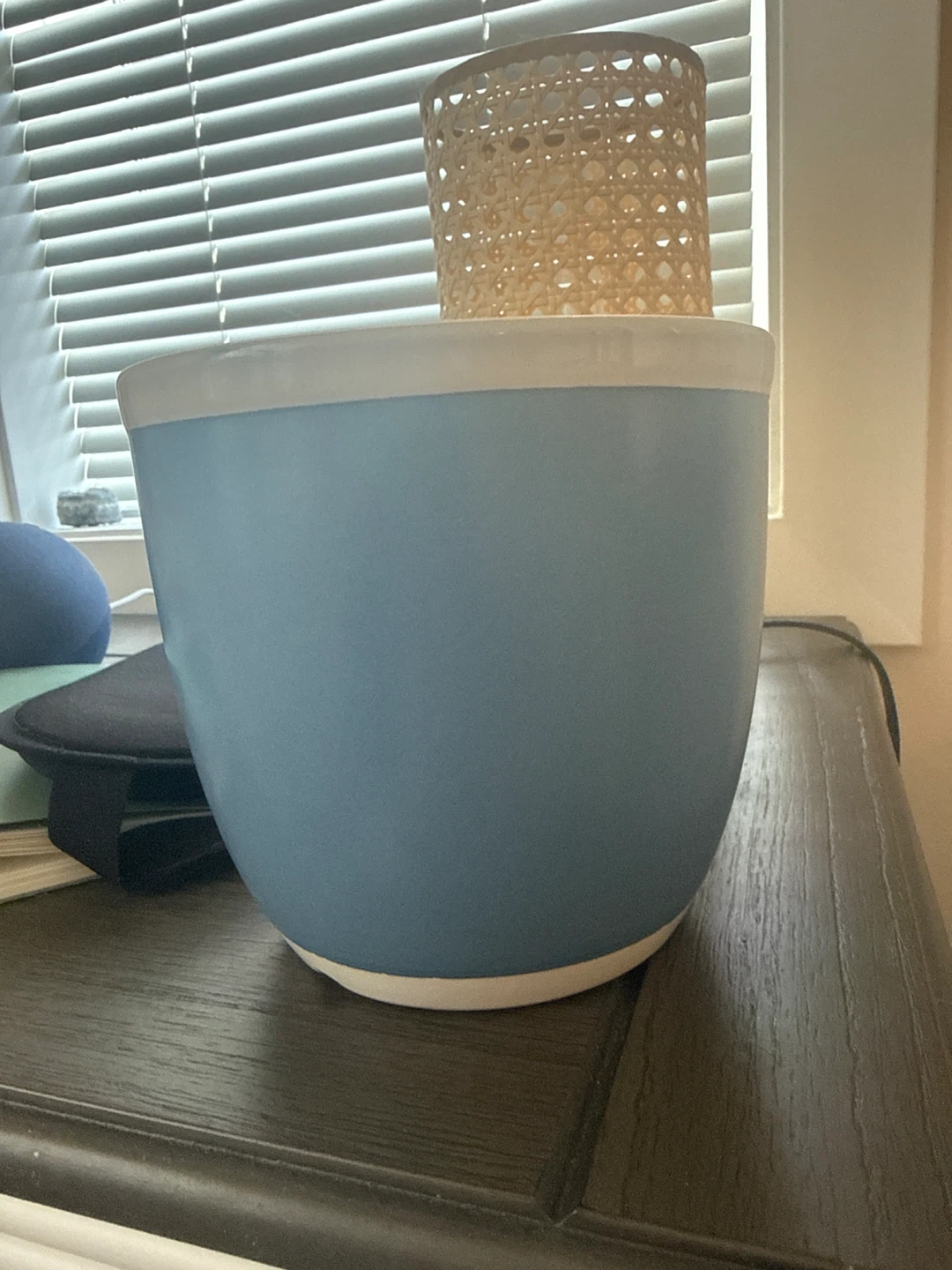 Blue and White Ceramic Pot/Planter