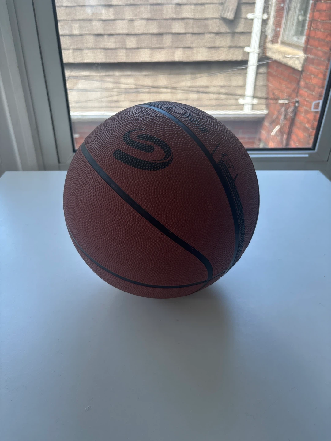 Rawlings Basketball
