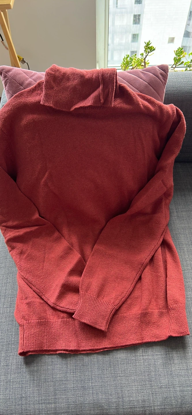 Luigi Fusaro Wool Blend Turtleneck Sweater
