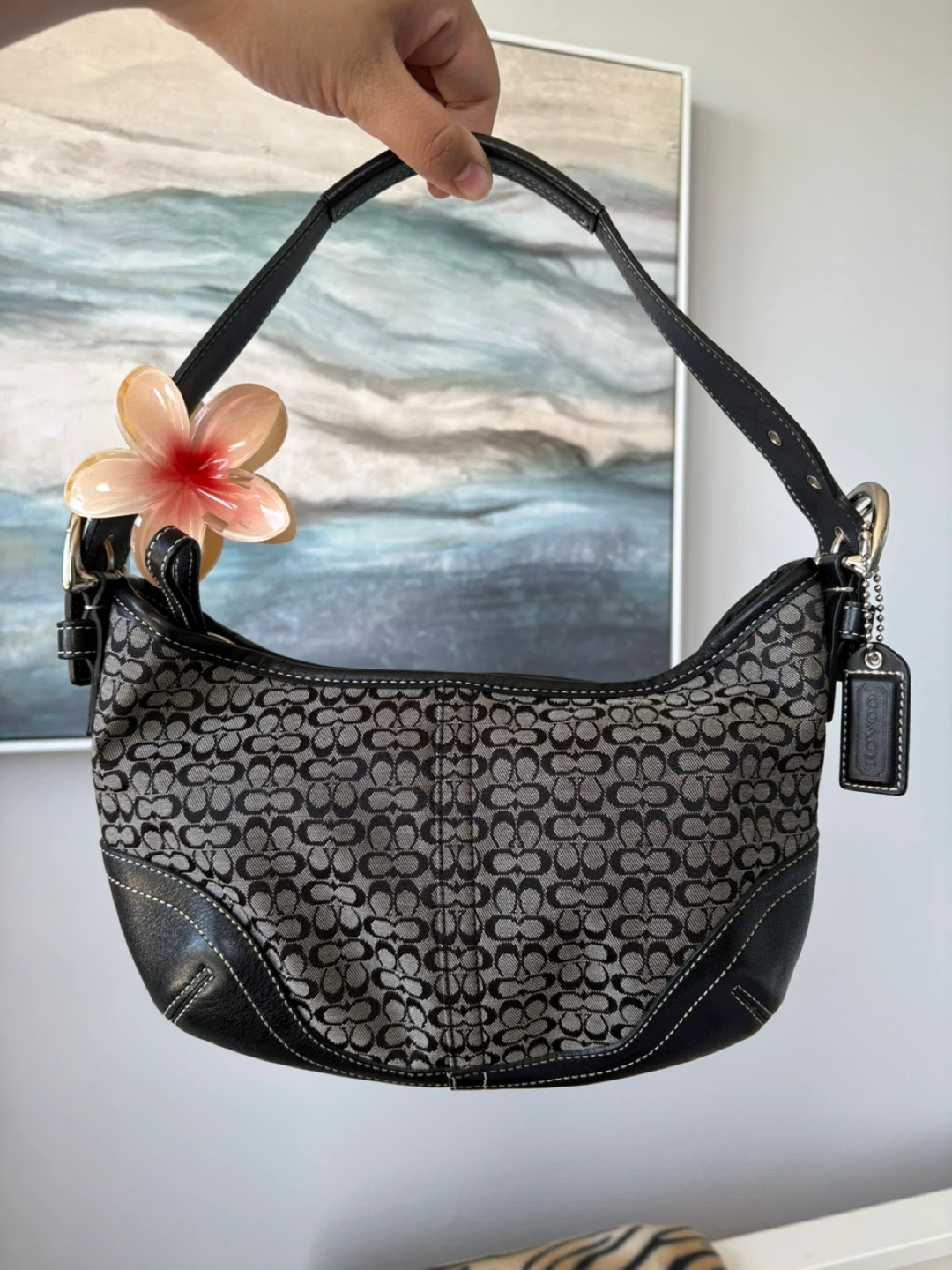 Coach Signature Hobo Bag