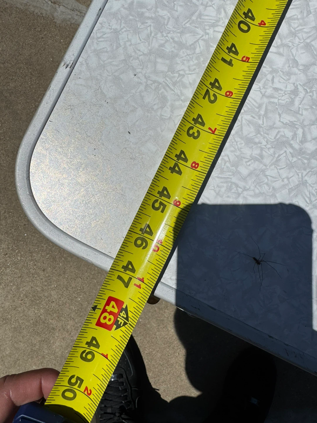 Folding Table - Portable Picnic/Event Table - photo 3