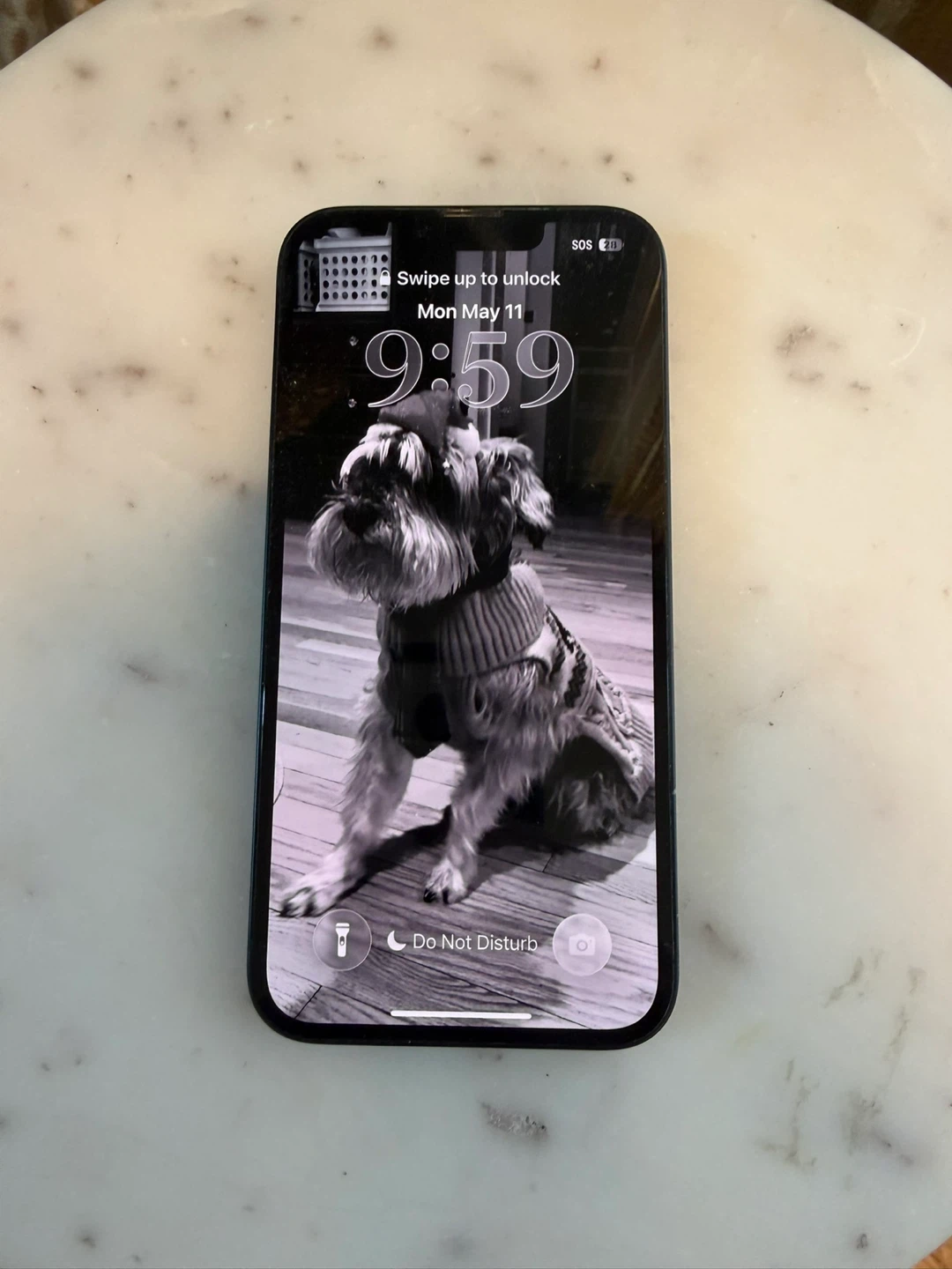 gently used Apple iPhone 14