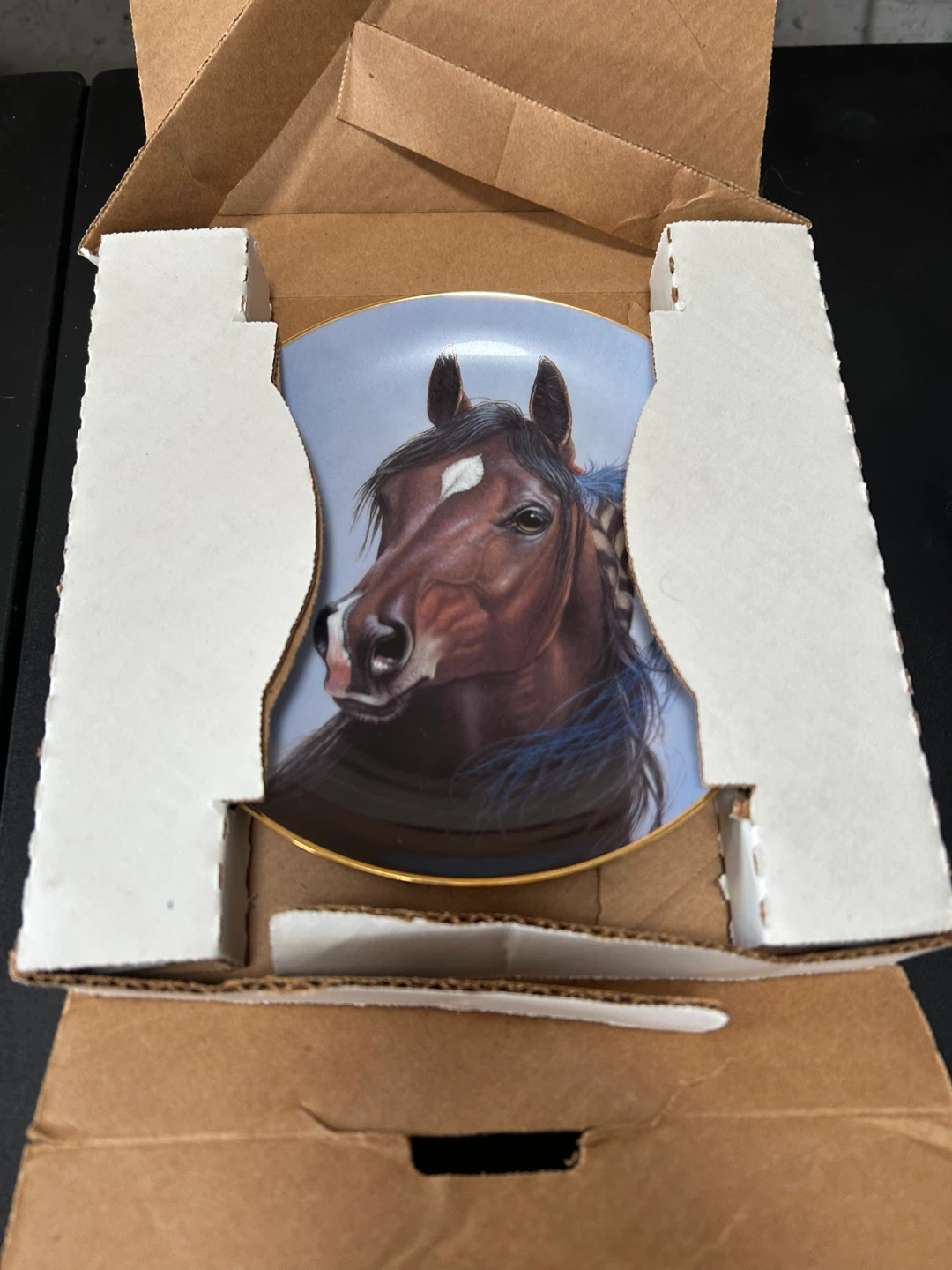 Art Marketing Group Derk Hansen "Shining Spirit" Collector Plate