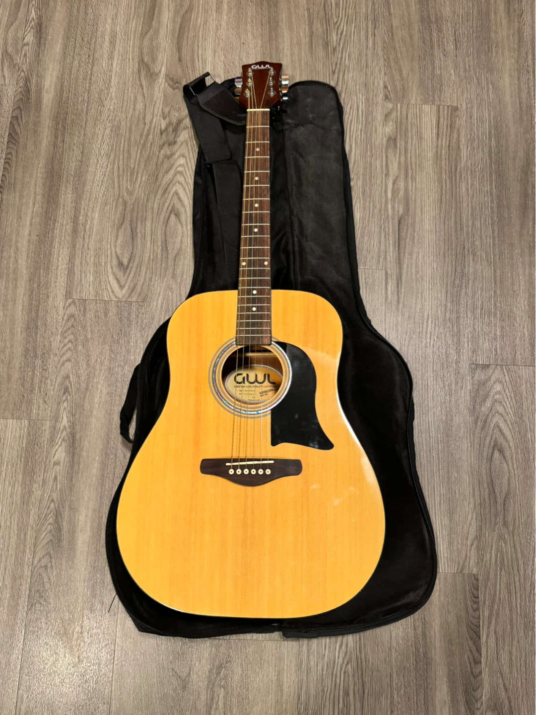 Washburn Acoustic Guitar with Gig Bag