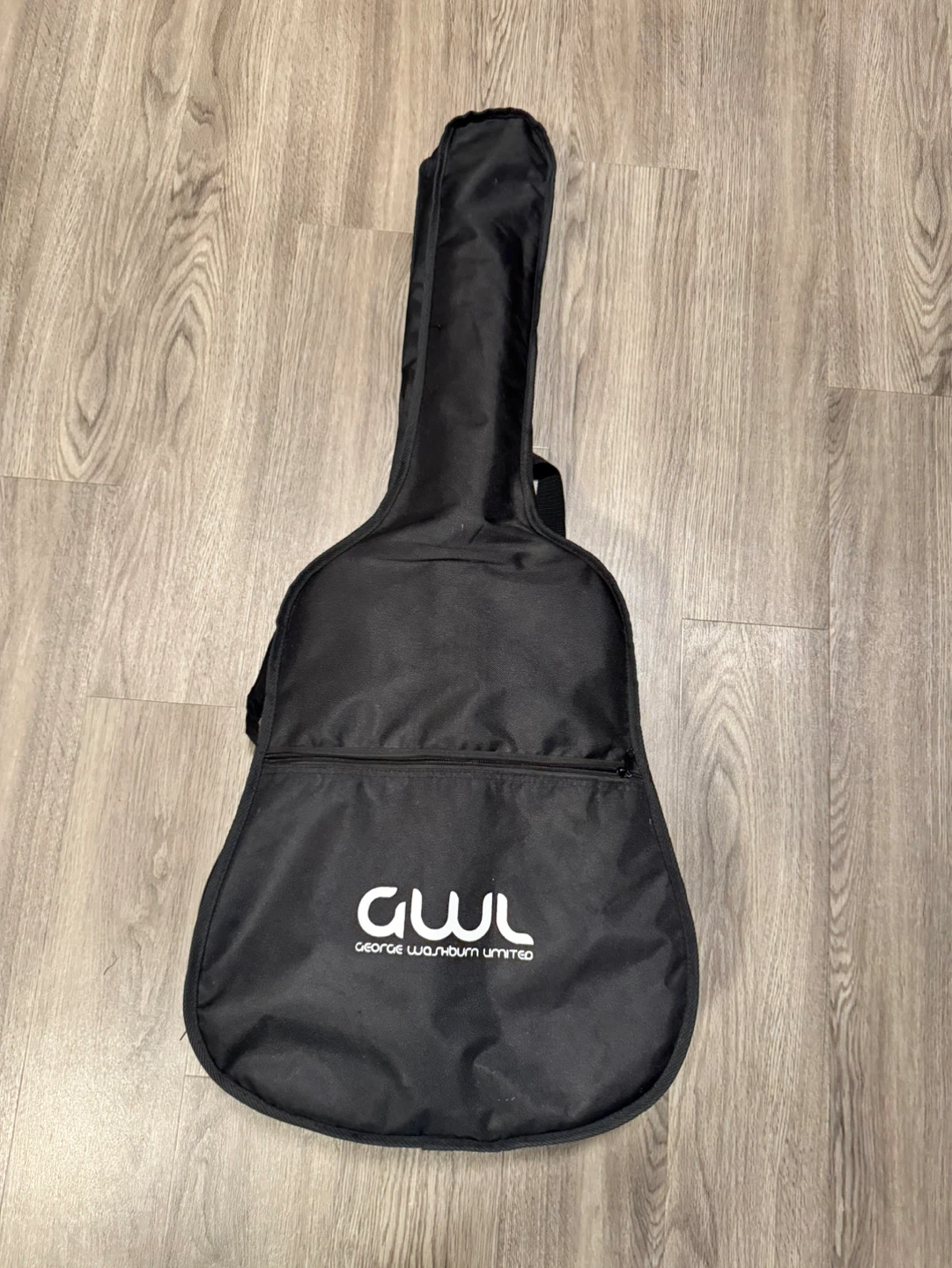 Washburn Acoustic Guitar with Gig Bag - photo 3