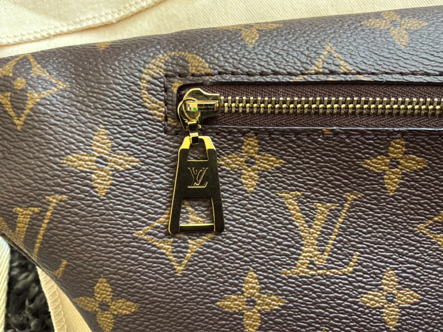 Louis Vuitton Monogram Belt Bag/Fanny Pack - photo 4