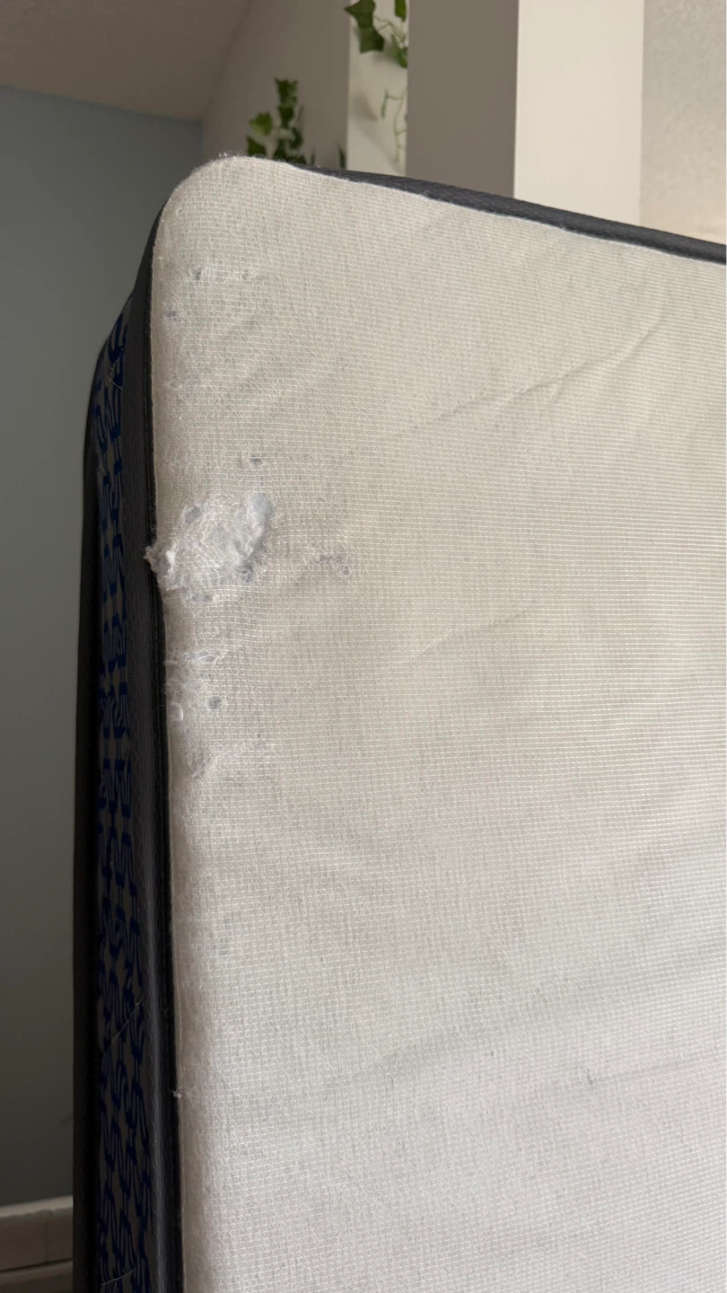 free twin/single mattress - photo 3