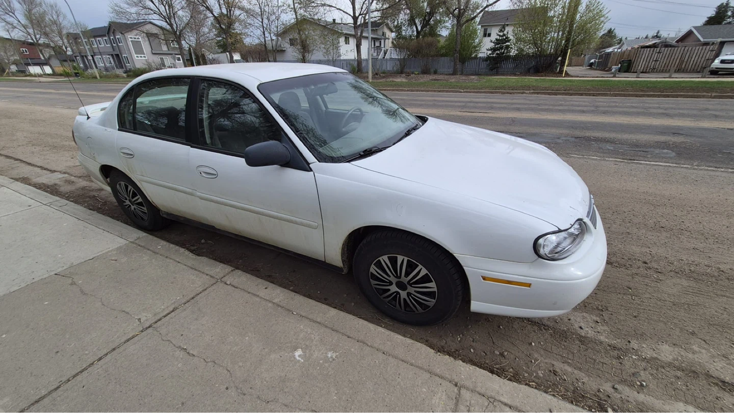 White Chevrolet Malibu Sedan 2003 - photo 3