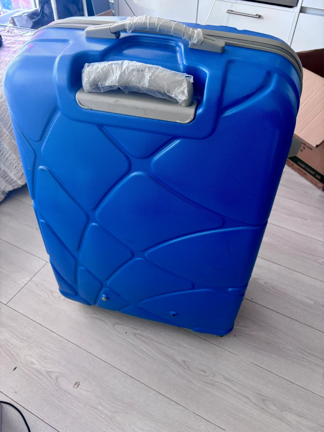 Skybags Blue Hardside Spinner Luggage