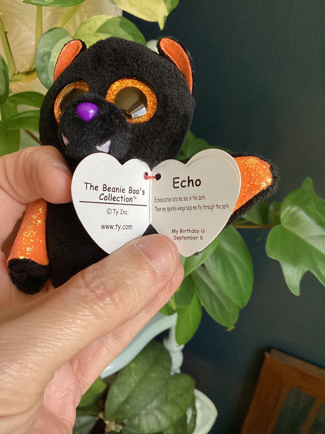 Beanie Boo's "Echo" Bat Plush Toy - photo 4