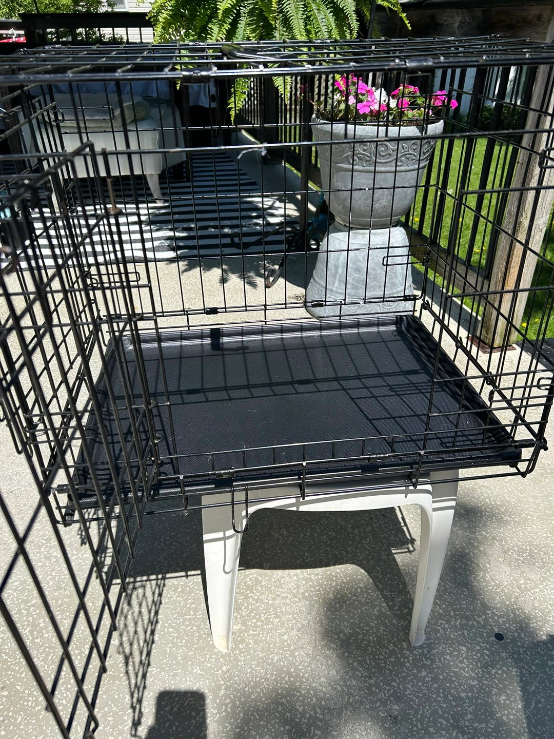 Top Paw 24" Double-Door Folding Dog Crate - photo 3