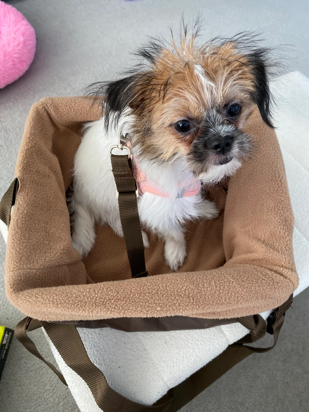 PetSafe Happy Ride Booster Seat - Brown - photo 3