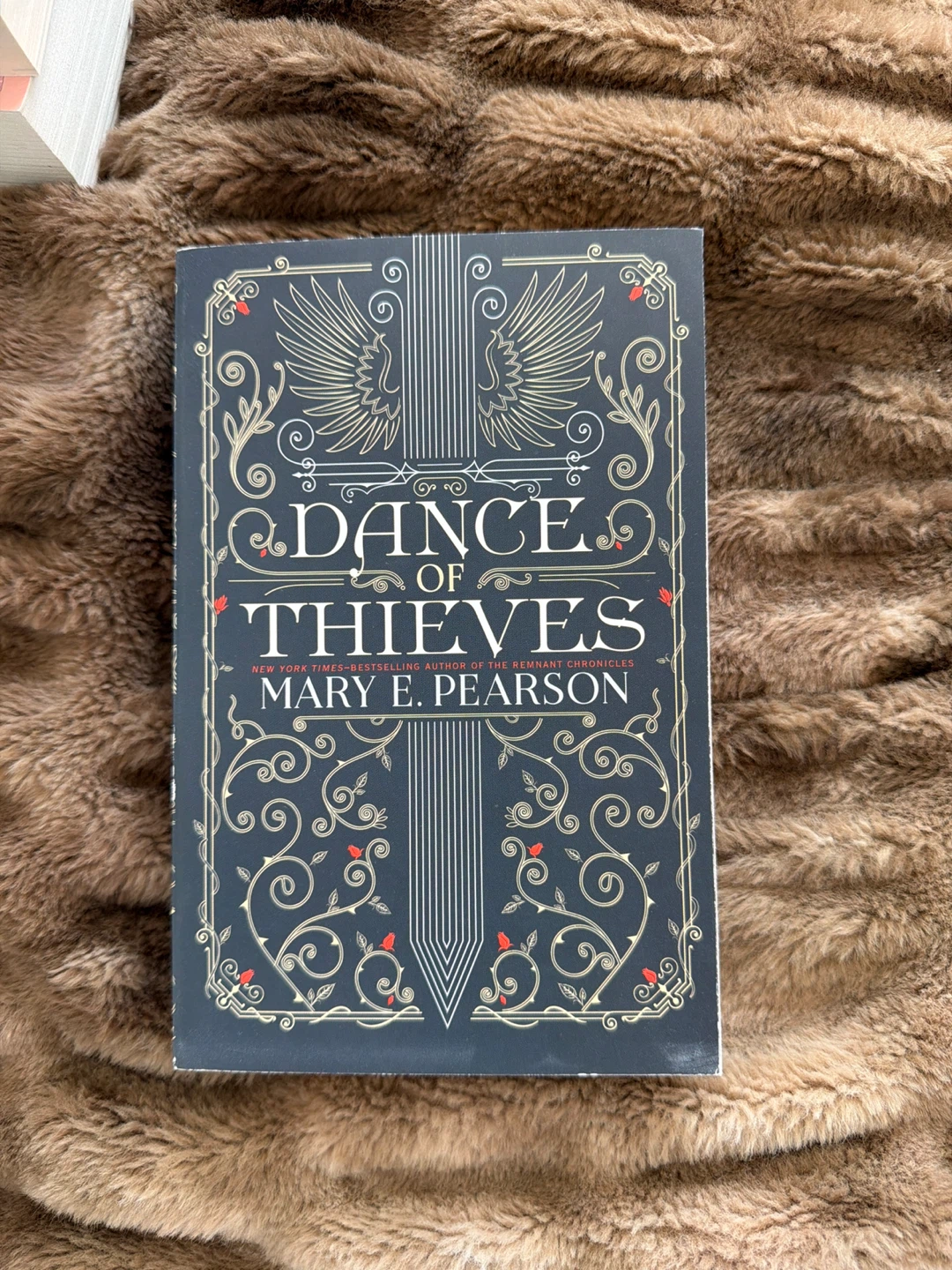 Dance of Thieves by Mary E. Pearson Paperback Book