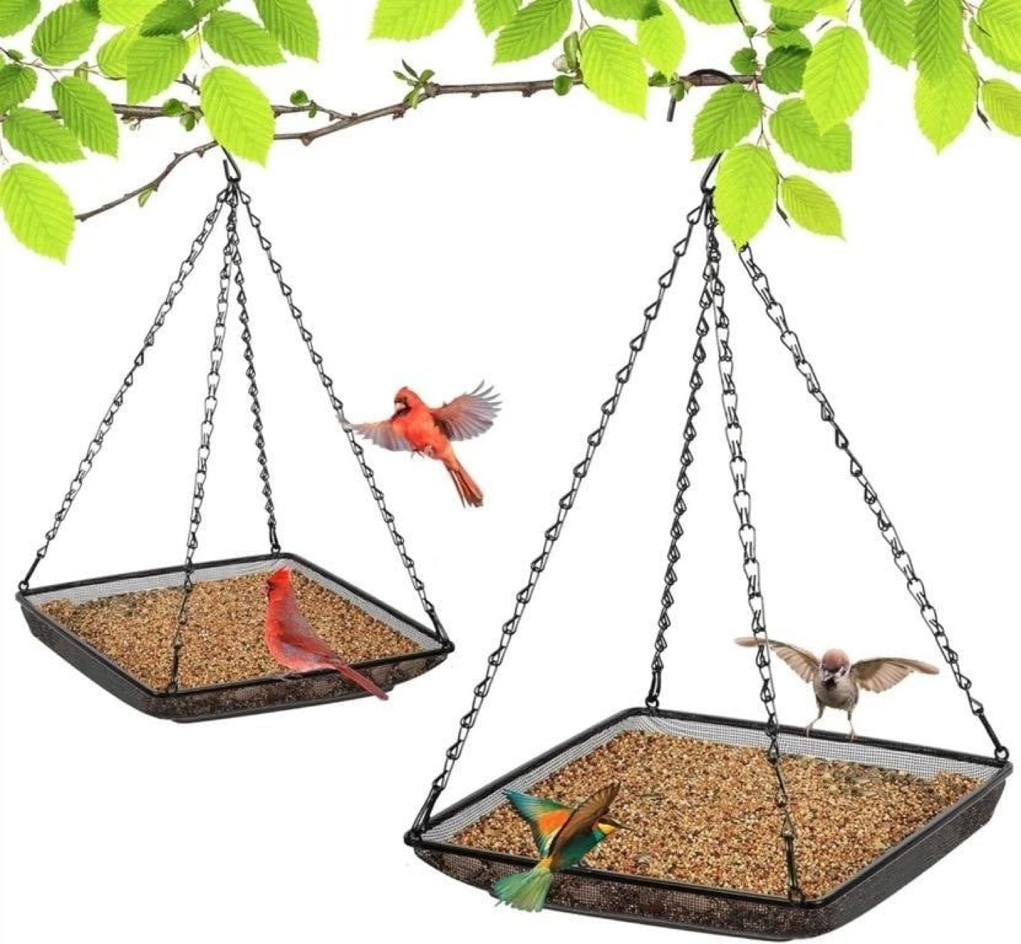 One Hanging Bird Feeder
