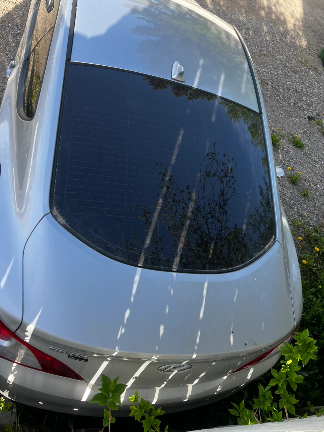 2010 Hyundai Genesis 2L turbo - photo 5